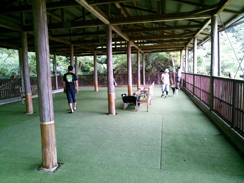 e0179321_16195170.jpg