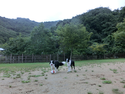 雨を吹き飛ばせ！夏のゆあさ旅・・・２日目_e0179321_2033927.jpg