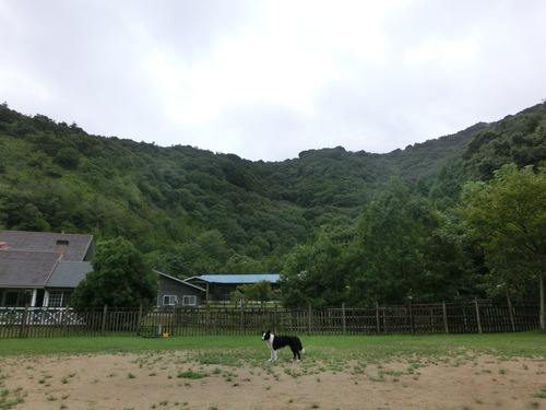 e0179321_204087.jpg