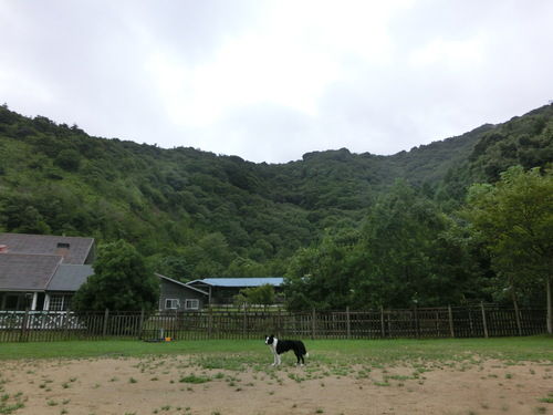 雨を吹き飛ばせ！夏のゆあさ旅・・・２日目_e0179321_204087.jpg