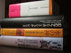 読書メモ:ミシェル・レリス『幻のアフリカ』(2)_d0010432_2003180.jpg