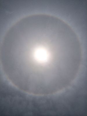 e0069433_0454557.jpg