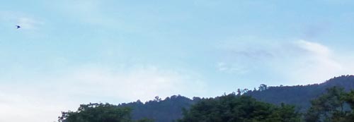 b0063436_11404556.jpg