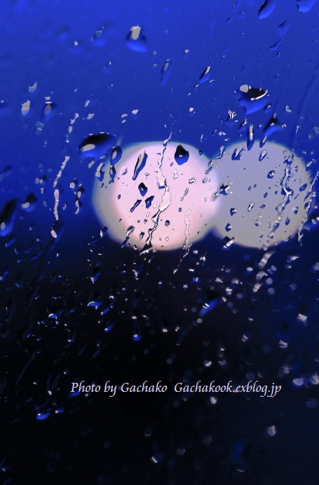 raindrop♡ 雨の水滴_e0241944_20594753.jpg