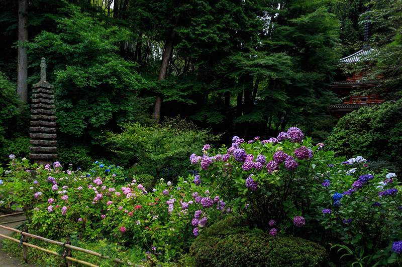 紫陽花咲く南山城の寺（岩船寺）_f0155048_15224883.jpg