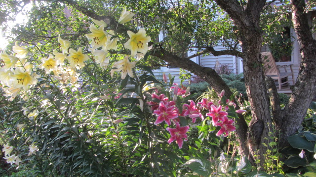 b0247153_02313750.jpg