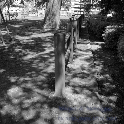 e0190554_22494803.jpg
