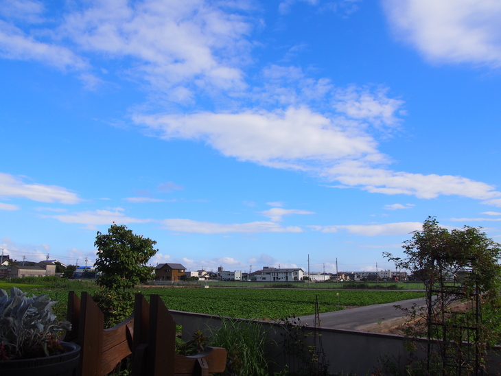 b0194267_16405577.jpg