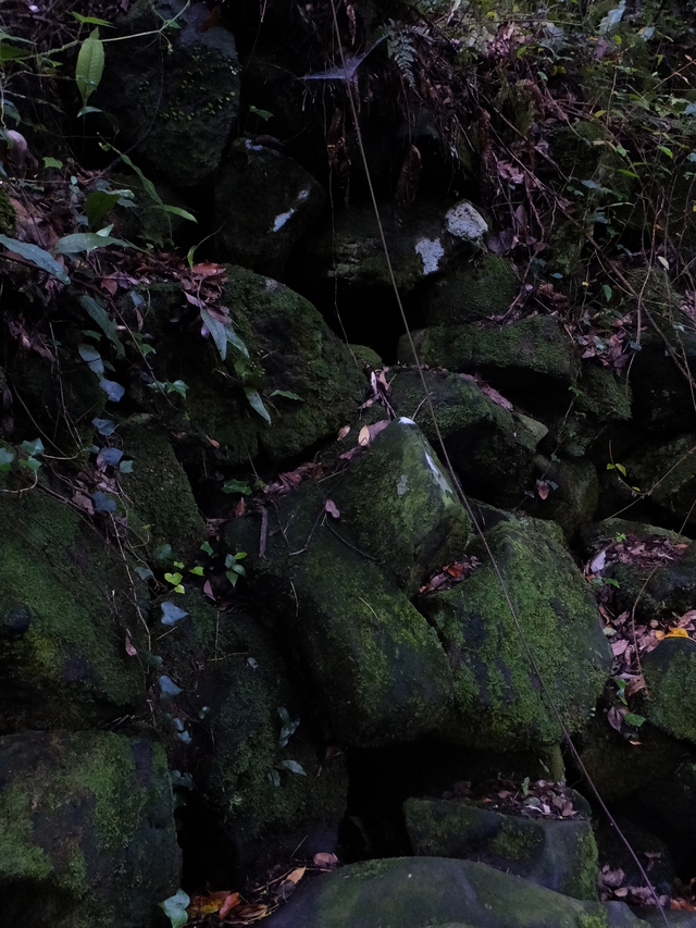 b0164670_20183766.jpg