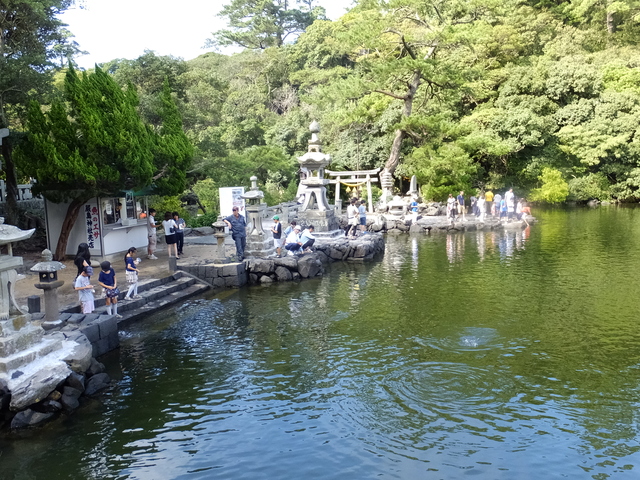 b0164670_20235347.jpg