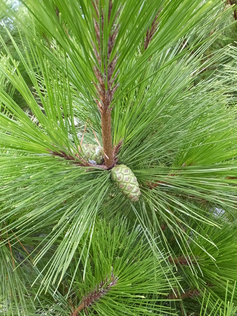 b0164670_20252342.jpg
