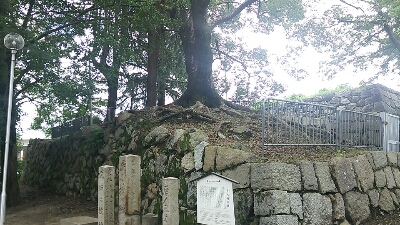 今日から旅行_e0033570_1929577.jpg
