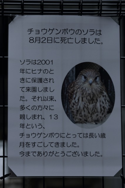 a0188771_2124312.jpg