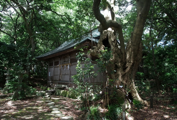 福井県、雄島探訪_a0248481_2030091.jpg