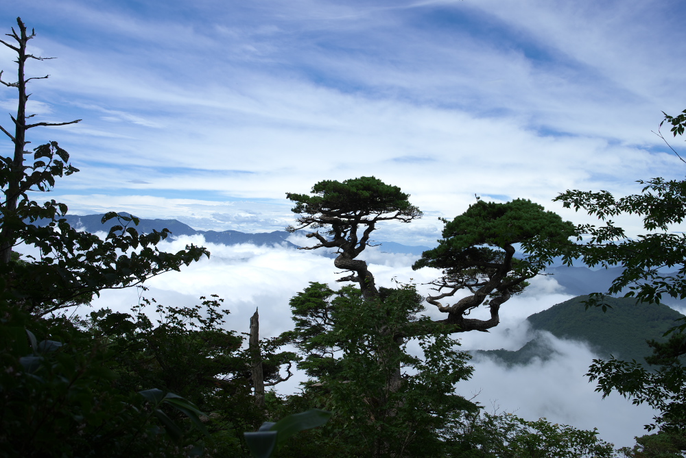 白笹山雲海百態_f0137288_17421166.jpg