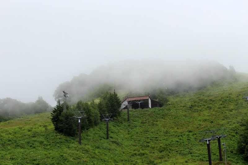 a0127090_17111796.jpg