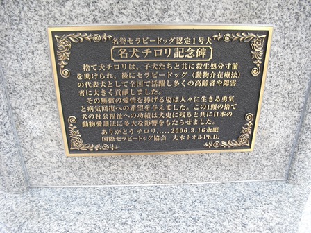 c0109090_17304772.jpg