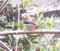 f0234590_1011488.png