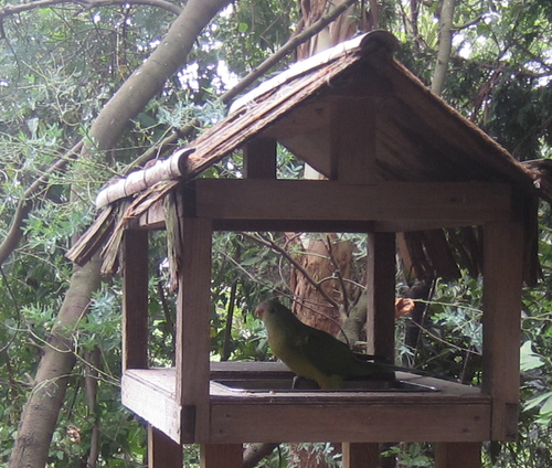 f0234590_1021350.png