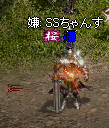 a0145897_1456596.png