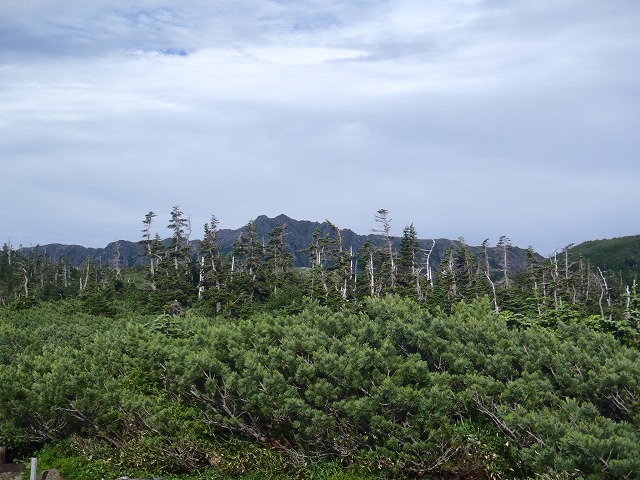 日本最奥地の秘湯 高天ヶ原温泉へ再び!(day1)_c0147398_1644507.jpg