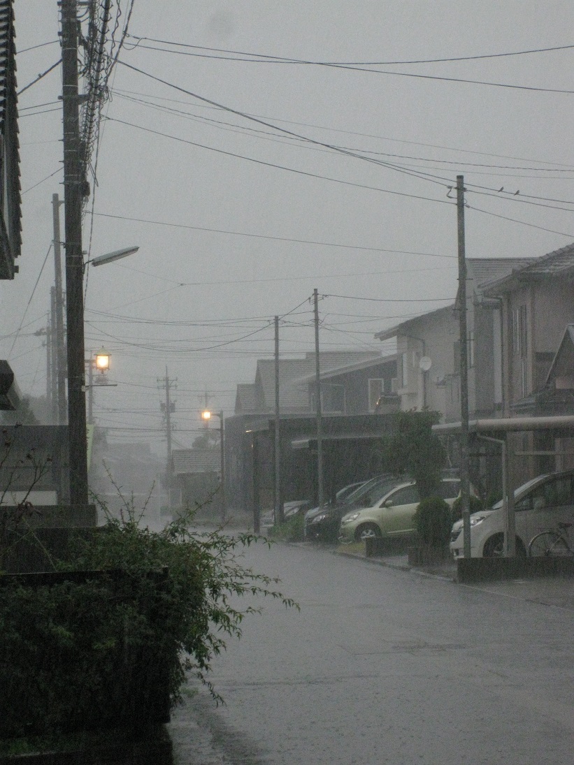 雨の多い８月…_f0281398_22134534.jpg