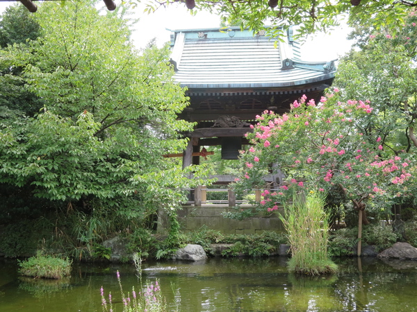 c0326000_11495715.jpg