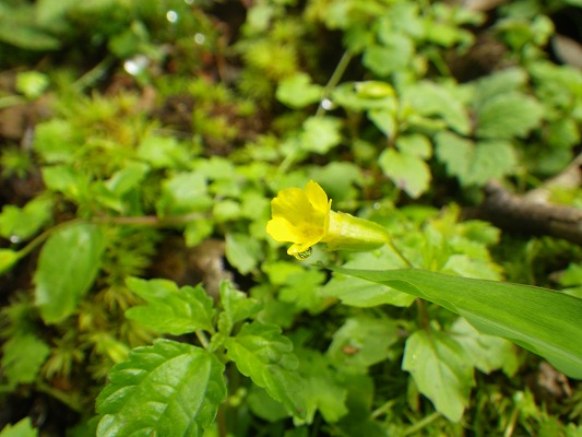 f0187402_2126116.jpg