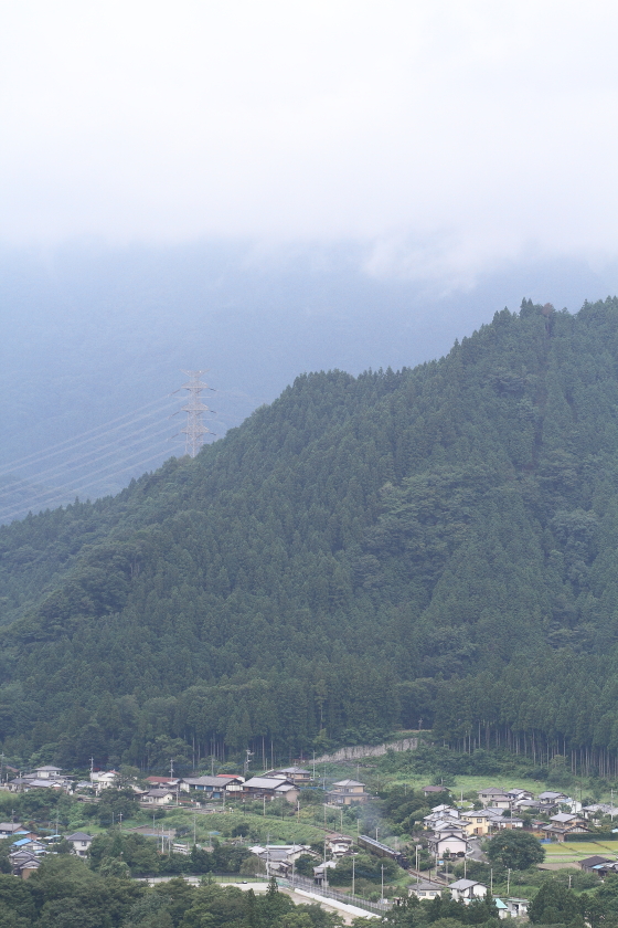 武甲山は雲の中 - 2014年残暑・秩父 - _b0190710_22181627.jpg