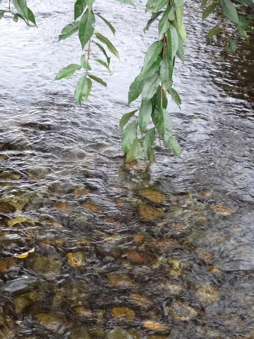 c0279611_1356770.jpg