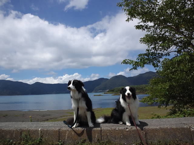 d0224111_1718485.jpg