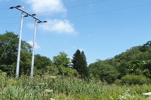 2014年8月18日（月）：夏日！［中標津町郷土館]_e0062415_18254589.jpg