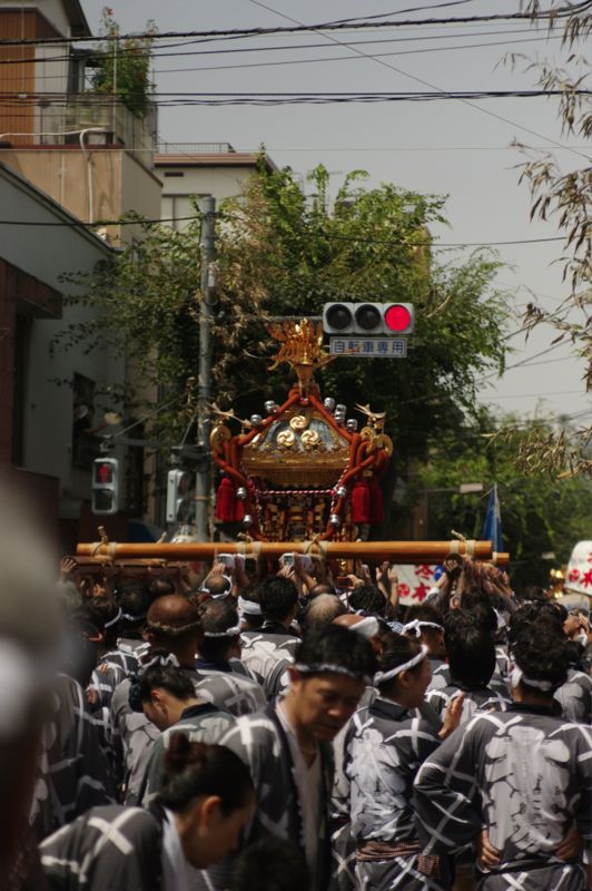 富岡八幡宮例祭_a0251116_22161797.jpg