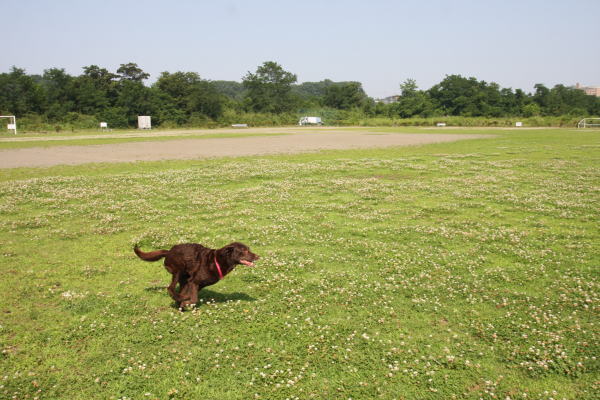 f0109418_2243927.jpg