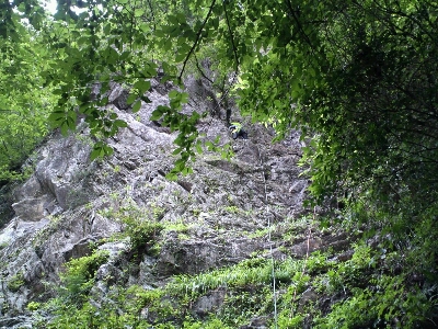 d0107938_8493854.jpg