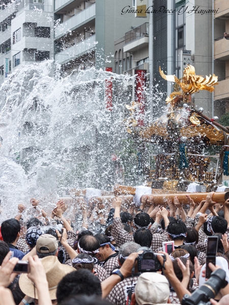 東京の風景　近所の深川八幡祭り_b0133053_0473921.jpg