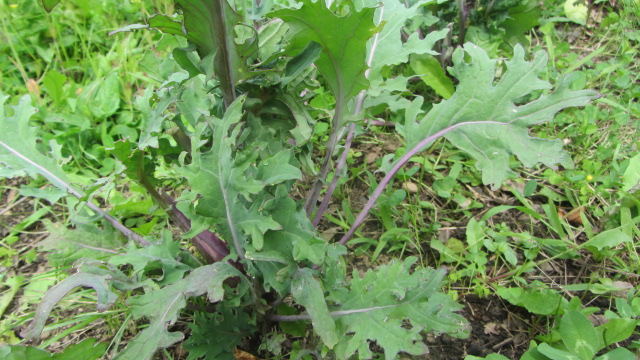 b0247153_04224773.jpg