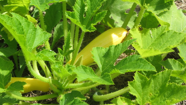 b0247153_04290130.jpg