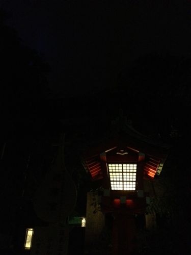 d0104254_9465022.jpg