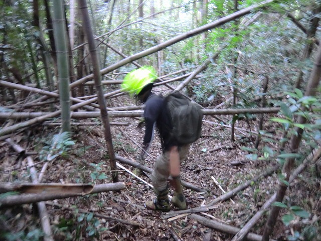 獣道チックな休日を…_e0114857_8263947.jpg