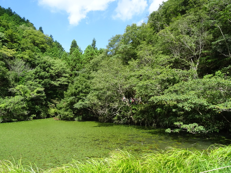 深日小学校＆多奈川小学校学童保育第２回「里山体験」_c0108460_18452793.jpg