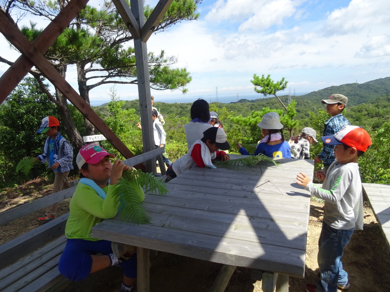 深日小学校＆多奈川小学校学童保育第２回「里山体験」_c0108460_18580401.jpg