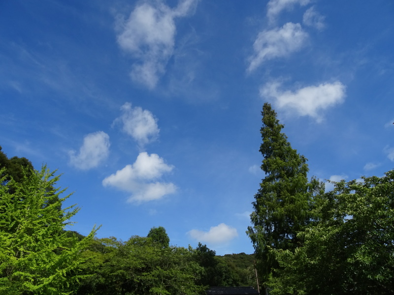 c0108460_20243860.jpg