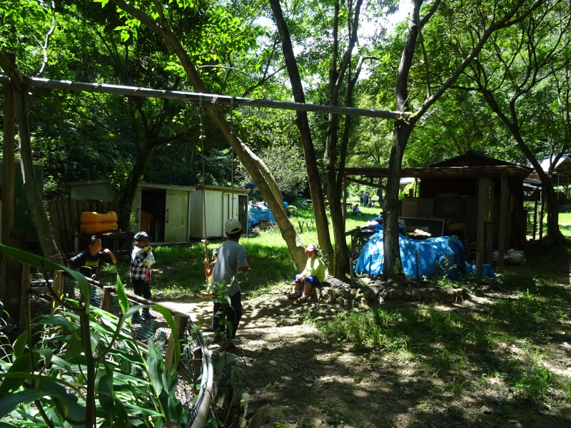 深日小学校＆多奈川小学校学童保育第２回「里山体験」_c0108460_20270843.jpg