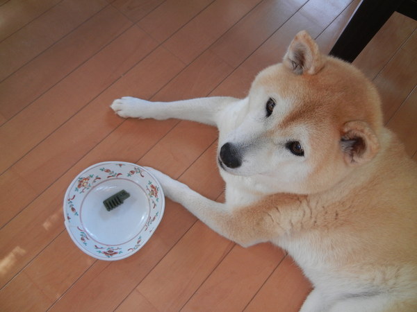 ’14,8,18(月)新鮮な夏野菜がいっぱい!_f0060461_9445050.jpg