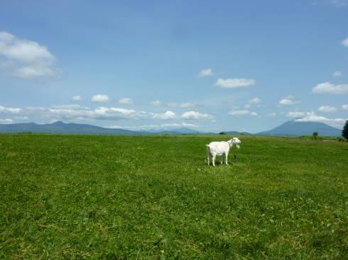 f0350468_13242590.jpg