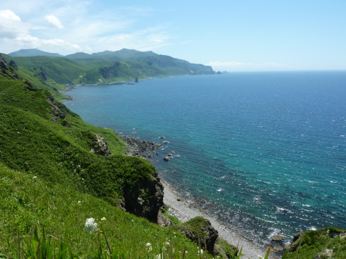 f0350468_13420546.jpg