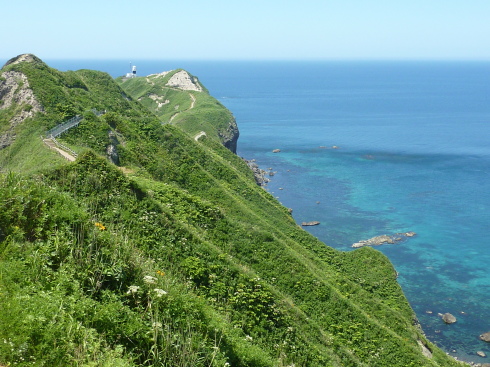 f0350468_13432144.jpg