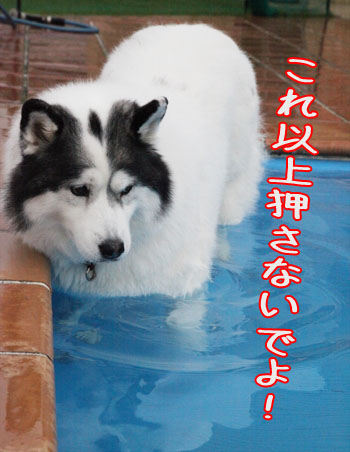 c0161772_2342419.jpg
