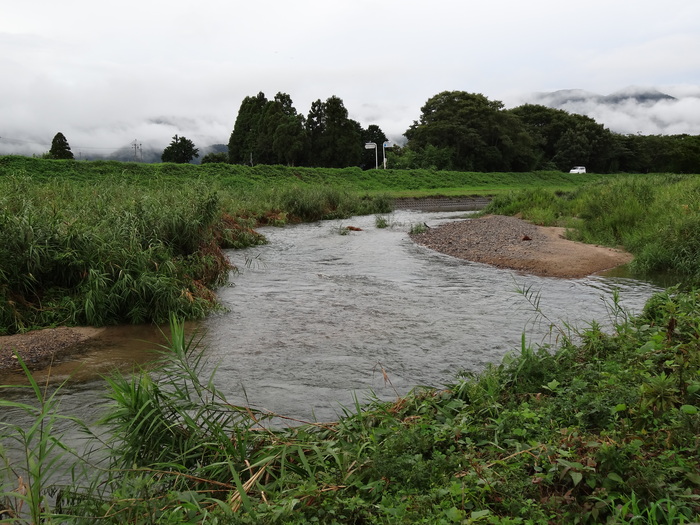 雨上がり・・・、知内川べりを歩く　　２０１４．８．１７_c0153880_15151469.jpg